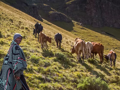 KHOTSO LODGE AND HORSE TRAILS
