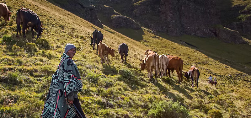 KHOTSO LODGE AND HORSE TRAILS