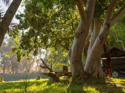 BONNIEVALE RIVER LODGE