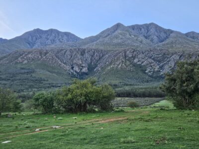 Swartberg Wilds