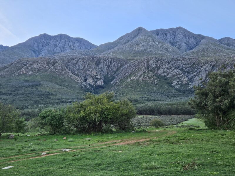 Swartberg Wilds