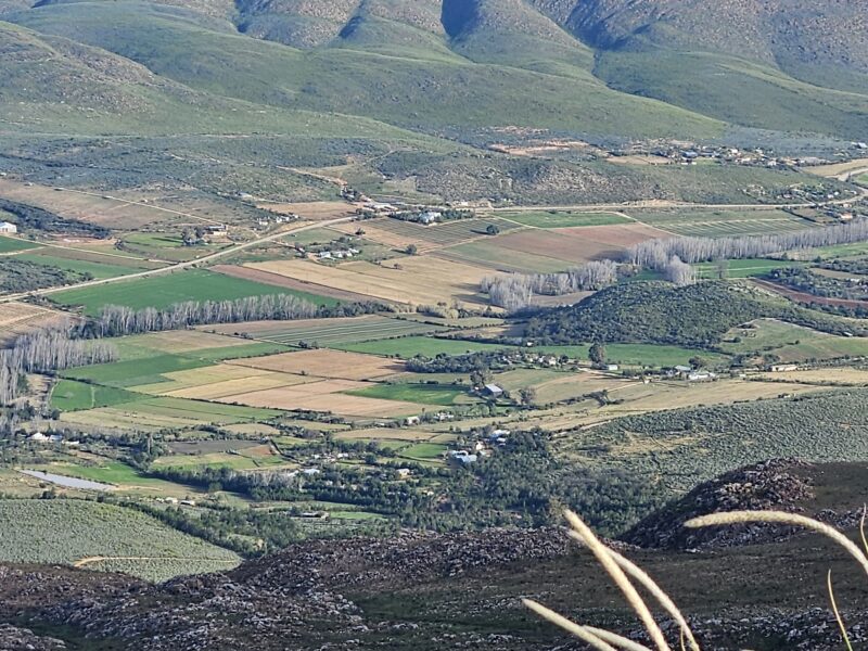 Swartberg Wilds
