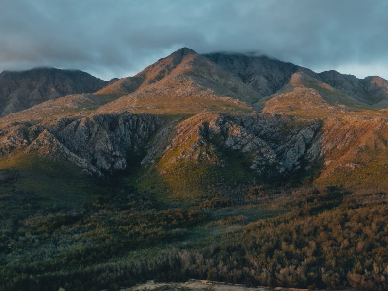 Swartberg Wilds
