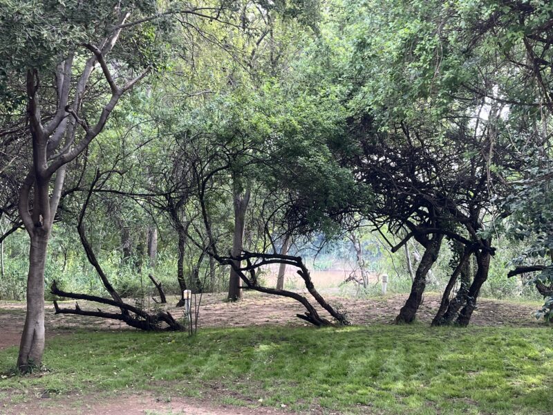 Badfontein guest farm and camping