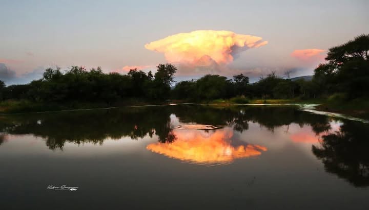 Paddafontein kampterrein en boskamp
