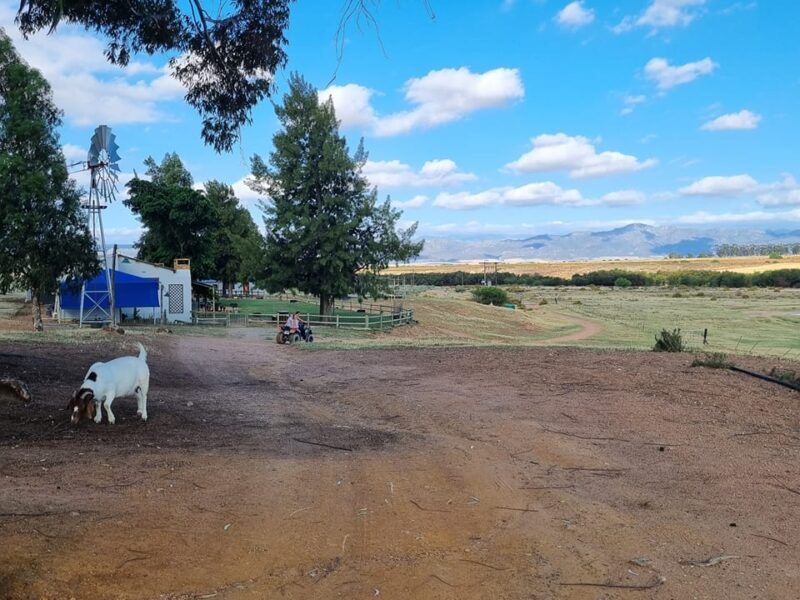 Pronkies Holiday and Quadfarm