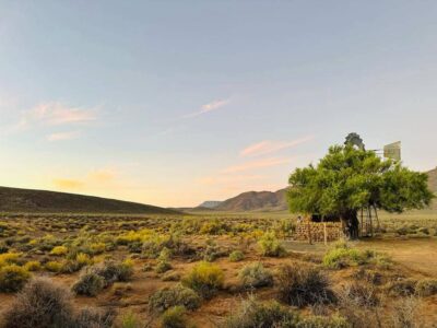 Ymansdam camping
